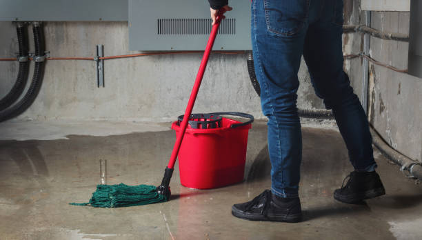Best Basement water damage restoration  in Berea, SC