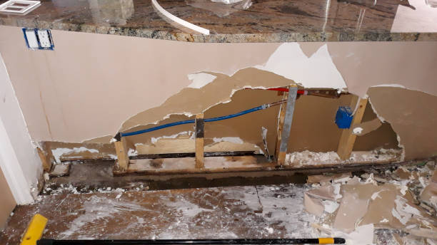 Best Flooded house restoration  in Berea, SC