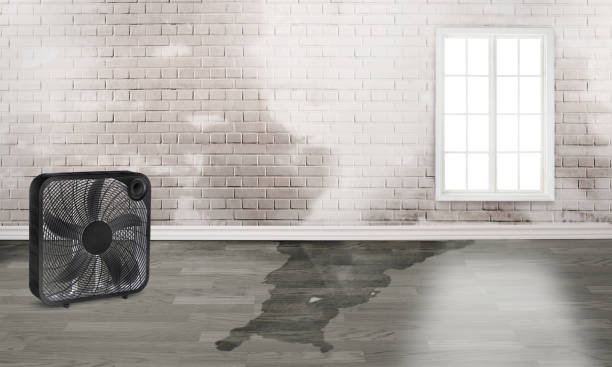 Carpet water damage restoration in SC