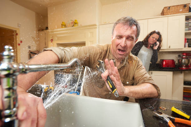 Best Water damage restoration near me  in Berea, SC